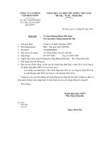 Báo cáo tài chính hợp nhất quý 1 năm 2015 - Công ty Cổ phần Tập đoàn HIPT