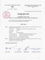 Nghị quyết Hội đồng Quản trị ngày 1-11-2010 - Công ty Cổ phần Dịch vụ Công nghệ Tin học HPT