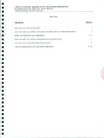 Báo cáo tài chính hợp nhất quý 2 năm 2010 (đã soát xét) - Công ty Cổ phần Khoáng sản và Xây dựng Bình Dương