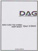 Báo cáo tài chính hợp nhất quý 1 năm 2010 - Công ty Cổ phần Tập đoàn Nhựa Đông Á