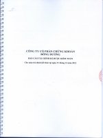 Báo cáo tài chính năm 2012 (đã kiểm toán) - Công ty Cổ phần Chứng khoán Đông Dương
