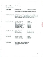 Báo cáo tài chính hợp nhất quý 1 năm 2011 - Công ty Cổ phần Dược Hậu Giang