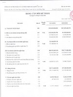 Báo cáo tài chính quý 4 năm 2011 - Công ty Cổ phần Đầu tư và Phát triển Đa Quốc Gia I.D.I