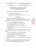 Nghị quyết Hội đồng Quản trị ngày 5-8-2010 - Công ty Cổ phần Tập đoàn Dabaco Việt Nam