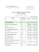 Báo cáo tài chính quý 3 năm 2010 - Công ty Cổ phần DIC số 4