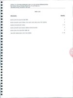 Báo cáo tài chính quý 2 năm 2012 (đã soát xét) - Công ty Cổ phần Khoáng sản và Xây dựng Bình Dương