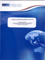 Báo cáo tài chính công ty mẹ quý 2 năm 2012 (đã soát xét) - Công ty cổ phần Kỹ thuật điện Toàn Cầu