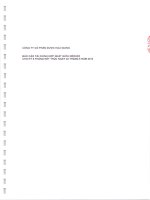 Báo cáo tài chính hợp nhất quý 2 năm 2013 (đã soát xét) - Công ty Cổ phần Dược Hậu Giang