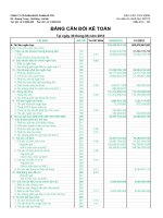 Báo cáo tài chính quý 2 năm 2010 - Công ty Cổ phần Dược phẩm Hà Tây