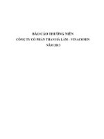 Báo cáo thường niên năm 2013 - CTCP Than Hà Lầm - Vinacomin
