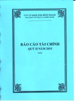 Báo cáo tài chính công ty mẹ quý 2 năm 2015 - Công ty Cổ phần Sản xuất Kinh doanh Xuất nhập khẩu Bình Thạnh