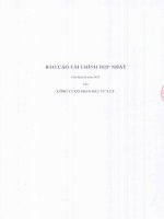 Báo cáo tài chính hợp nhất quý 2 năm 2015 - Công ty cổ phần Đầu tư F.I.T