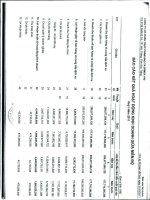 Báo cáo KQKD quý 1 năm 2011 - Công ty Cổ phần Thực phẩm Sao Ta