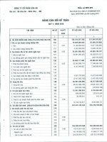 Báo cáo tài chính quý 2 năm 2010 - Công ty Cổ phần Hóa An