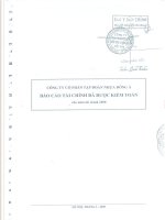 Báo cáo tài chính công ty mẹ năm 2008 (đã kiểm toán) - Công ty Cổ phần Tập đoàn Nhựa Đông Á