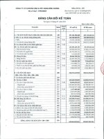 Báo cáo tài chính quý 1 năm 2011 - Công ty Cổ phần Khoáng sản và Xây dựng Bình Dương