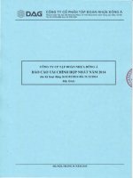 Báo cáo tài chính hợp nhất năm 2014 - Công ty Cổ phần Tập đoàn Nhựa Đông Á