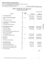 Báo cáo tài chính hợp nhất quý 1 năm 2016 - Công ty Cổ phần Tập đoàn Nhựa Đông Á