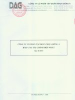 Báo cáo tài chính quý 2 năm 2010 - Công ty Cổ phần Tập đoàn Nhựa Đông Á