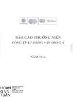 Báo cáo thường niên năm 2013 - Công ty Cổ phần Hãng sơn Đông Á