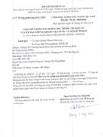 Báo cáo tài chính hợp nhất năm 2013 (đã kiểm toán) - Công ty cổ phần Thương mại và Khai thác Khoáng sản Dương Hiếu