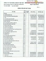 Báo cáo tài chính hợp nhất quý 4 năm 2012 - Công ty Cổ phần Tập đoàn Dabaco Việt Nam