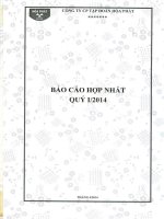 Báo cáo tài chính hợp nhất quý 1 năm 2014 - Công ty cổ phần Tập đoàn Hòa Phát