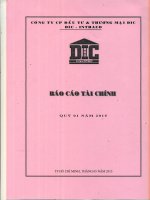 Báo cáo tài chính công ty mẹ quý 1 năm 2015 - Công ty Cổ phần Đầu tư và Thương mại DIC