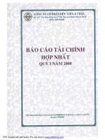Báo cáo tài chính hợp nhất quý 1 năm 2008 - Công ty Cổ phần Hữu Liên Á Châu