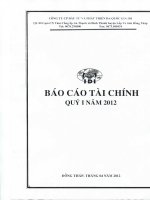 Báo cáo tài chính quý 1 năm 2012 - Công ty Cổ phần Đầu tư và Phát triển Đa Quốc Gia I.D.I