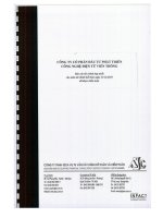 Báo cáo tài chính hợp nhất năm 2010 (đã kiểm toán) - Công ty Cổ phần Đầu tư Phát triển Công nghệ Điện tử Viễn thông
