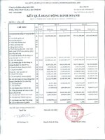 Báo cáo KQKD công ty mẹ quý 2 năm 2012 - Công ty Cổ phần Nông dược H.A.I