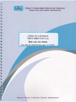 Báo cáo tài chính năm 2011 (đã kiểm toán) - Công ty Cổ phần Thủy điện Gia Lai