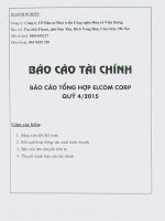 Báo cáo tài chính công ty mẹ quý 4 năm 2015 - Công ty Cổ phần Đầu tư Phát triển Công nghệ Điện tử Viễn thông