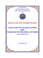 Quản trị rủi ro tín dụng tại ngân hàng thương mại cổ phần đông á chi nhánh thừa thiên huế