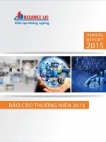 Báo cáo thường niên năm 2015 - Công ty Cổ phần Phát triển Hạ tầng Kỹ thuật