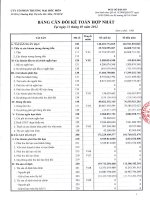 Báo cáo tài chính hợp nhất quý 1 năm 2012 - Công ty Cổ phần Thương mại Hóc Môn