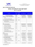 Báo cáo tài chính hợp nhất quý 4 năm 2009 - Công ty Cổ phần Dược phẩm Cửu Long