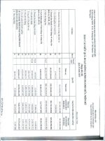 Báo cáo KQKD quý 2 năm 2013 - Công ty cổ phần Thương mại và Khai thác Khoáng sản Dương Hiếu