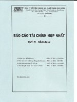 Báo cáo tài chính hợp nhất quý 4 năm 2010 - Công ty Cổ phần Khoáng sản và Xây dựng Bình Dương