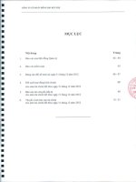 Báo cáo tài chính năm 2012 (đã kiểm toán) - Công ty Cổ phần Đông Hải Bến Tre