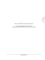 Báo cáo tài chính năm 2013 (đã kiểm toán) - Công ty Cổ phần Đầu tư Dịch vụ Hoàng Huy