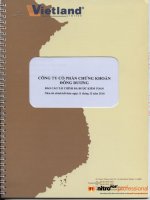 Báo cáo tài chính năm 2010 (đã kiểm toán) - Công ty Cổ phần Chứng khoán Đông Dương