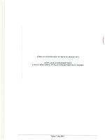 Báo cáo tài chính hợp nhất quý 2 năm 2015 - Công ty Cổ phần Đầu tư Dịch vụ Hoàng Huy