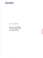 Báo cáo tài chính công ty mẹ năm 2011 (đã kiểm toán) - Công ty Cổ phần FPT