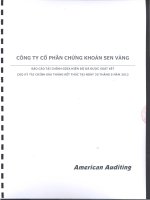 Báo cáo tài chính quý 2 năm 2012 (đã soát xét) - Công ty Cổ phần Chứng khoán Sen Vàng