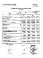 Báo cáo KQKD quý 1 năm 2013 - Công ty Cổ phần Đầu tư phát triển hạ tầng IDICO