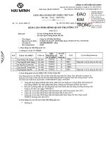 Báo cáo tình hình quản trị công ty - Công ty Cổ phần Hải Minh