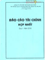 Báo cáo tài chính hợp nhất quý 1 năm 2016 - Công ty Cổ phần Tập đoàn Đại Châu