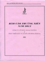 Báo cáo thường niên năm 2013 - Công ty Cổ phần Ngoại thương và Phát triển Đầu tư Thành phố Hồ Chí Minh